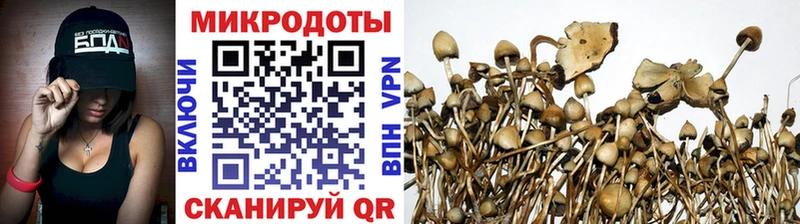 blacksprut сайт  цены   Ленинградская  Галлюциногенные грибы GOLDEN TEACHER 